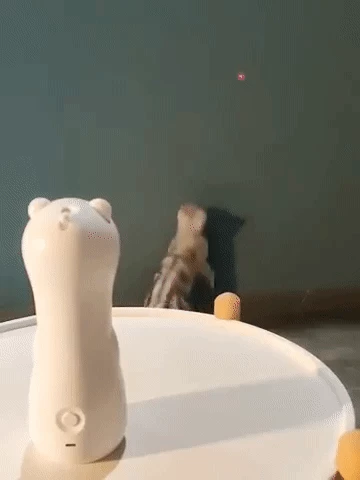 Cat LED Laser Toy