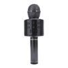 Microphone black.jpg