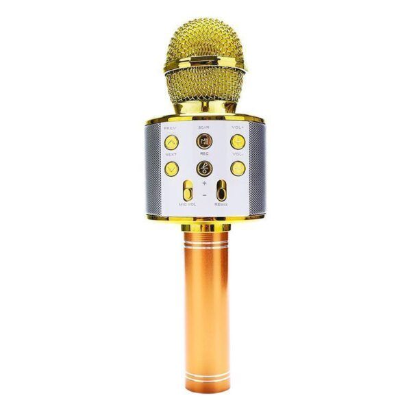 Microphone gold.jpg