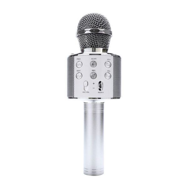 Microphone silver.jpg